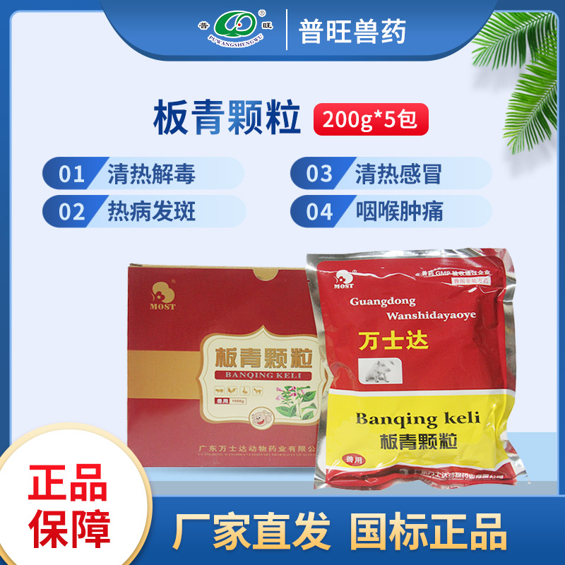 板青顆粒 獸用風寒感冒 獸藥廠家批發
