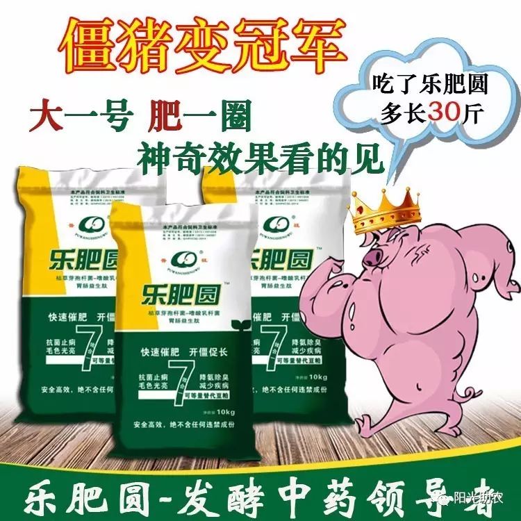 養(yǎng)豬賺大錢(qián)，就用樂(lè)肥圓!