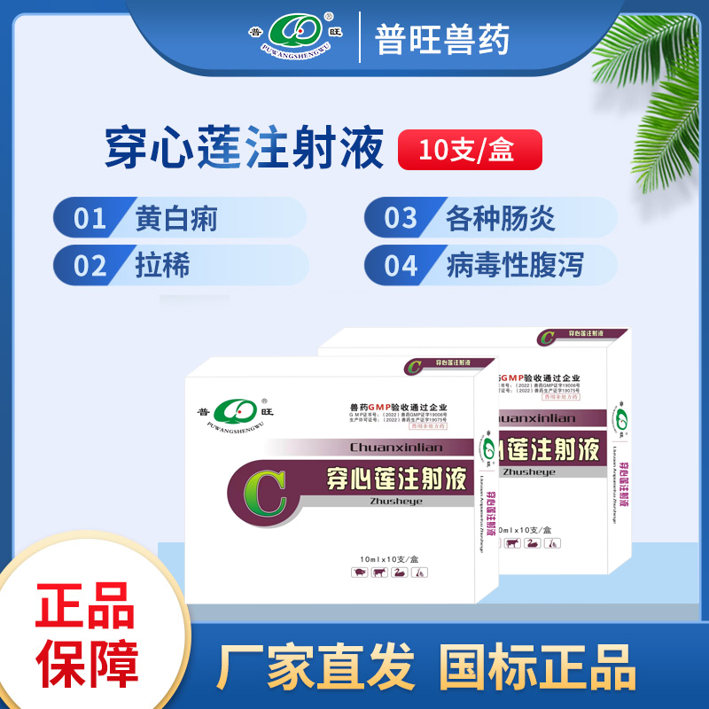 穿心蓮注射液 獸用清熱解毒 獸藥廠家批發(fā)