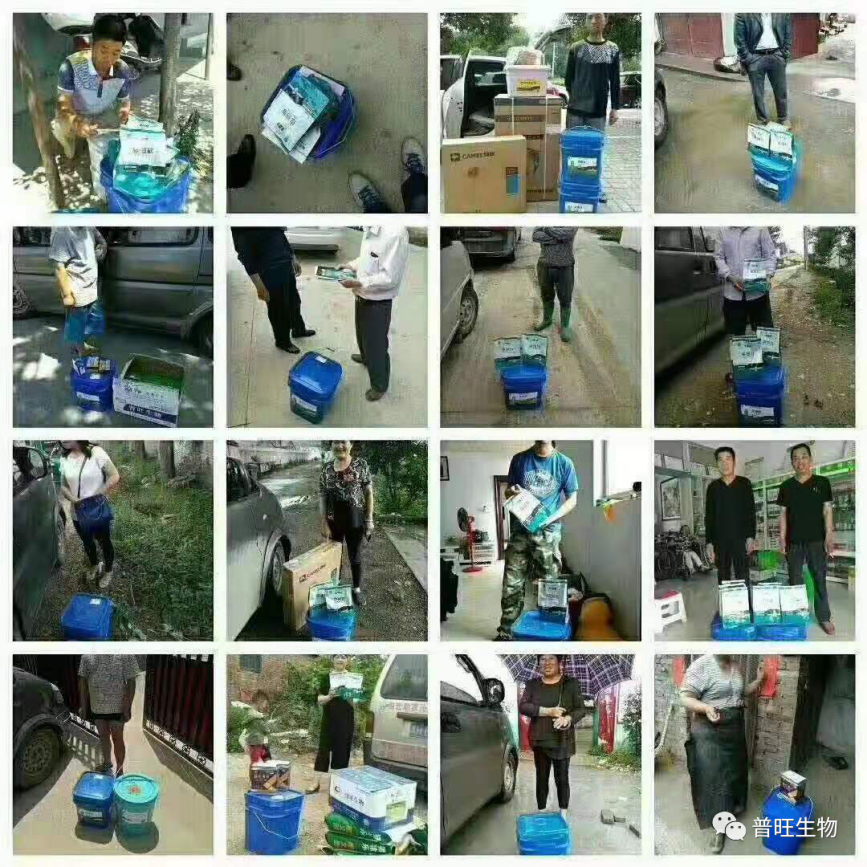 普旺獸藥廠家產(chǎn)品銷往全國各地的養(yǎng)殖場(chǎng)客戶見證