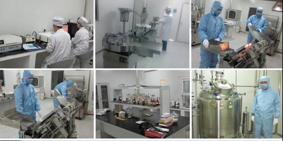 獸藥廠家招商代理_獸藥GMP認證_20年獸藥研發生產經驗